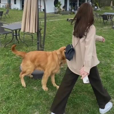 尸气逼人