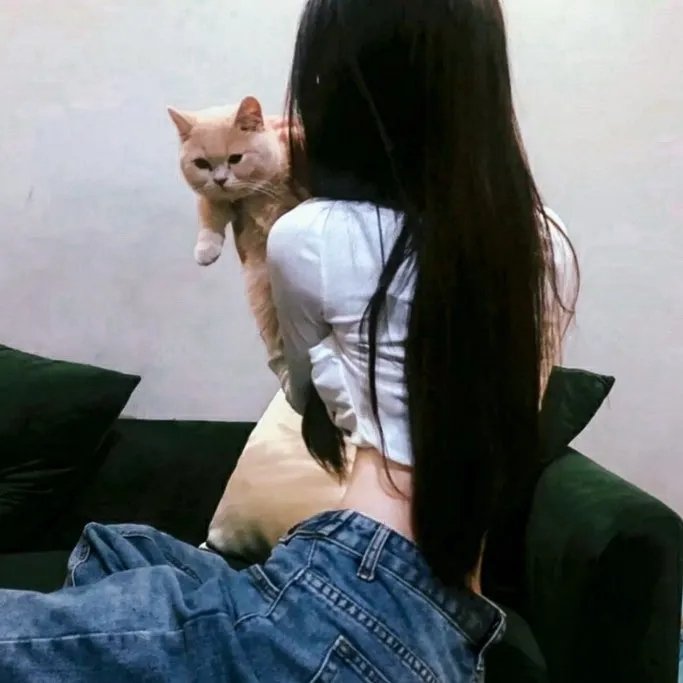 向前一步综艺